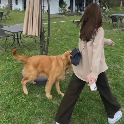 狂情杀机
