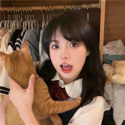 歌舞伎町夏洛克