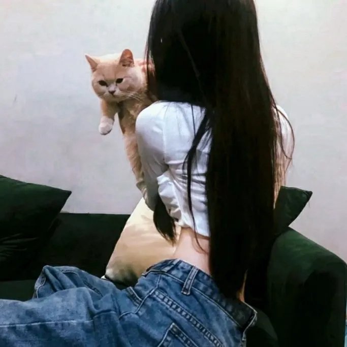 创造物